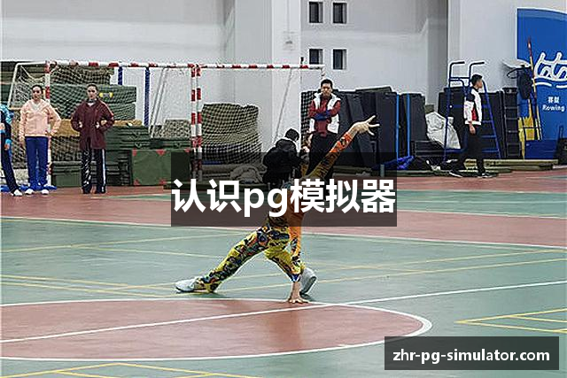 认识pg模拟器